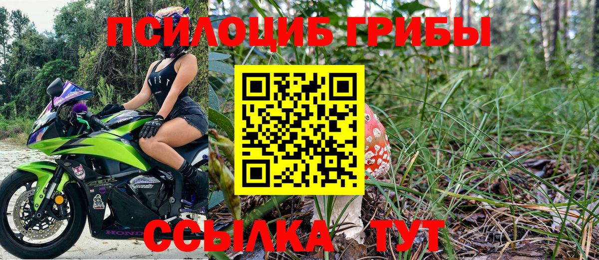 Карабулак  Псилоцибиновые грибы MAGIC MUSHROOMS  Вход с VPN  Галлюциногенные грибы MAGIC MUSHROOMS 